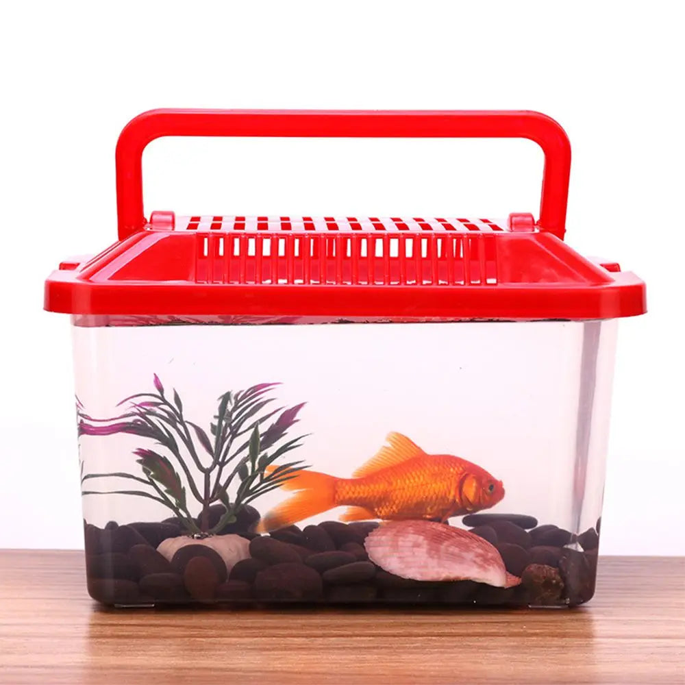 Caisse de transport plastique