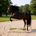 Mors à cheval
