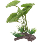 Plante en plastique Anubias