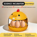 Incubateur pour 5 œufs de poules