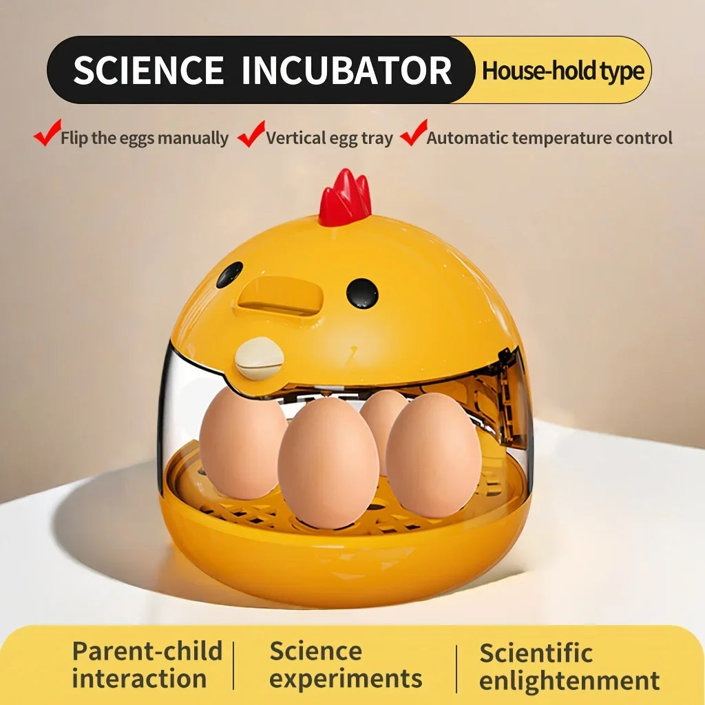 Incubateur pour 5 œufs de poules