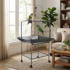 Support de jeu oiseaux, perchoir perroquet