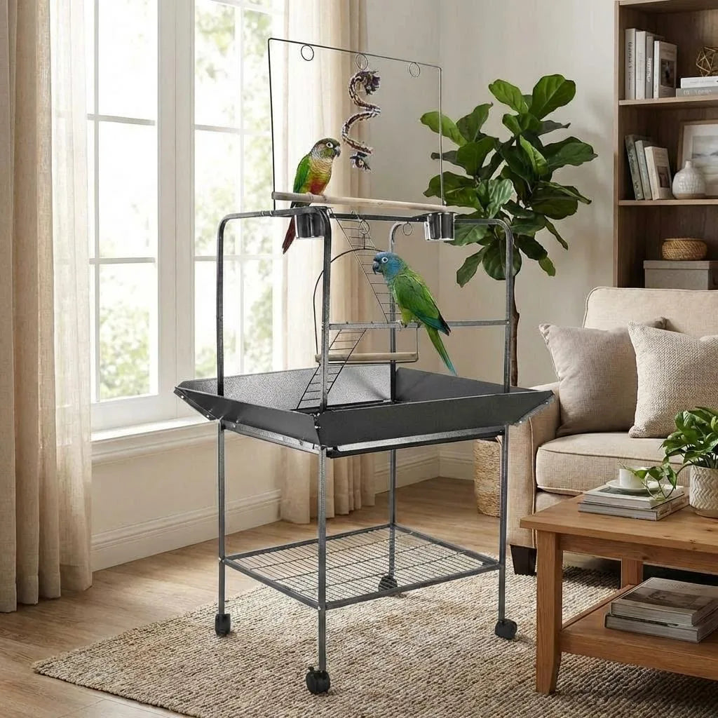 Support de jeu oiseaux, perchoir perroquet