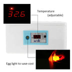 Incubateur 20 œufs de poules