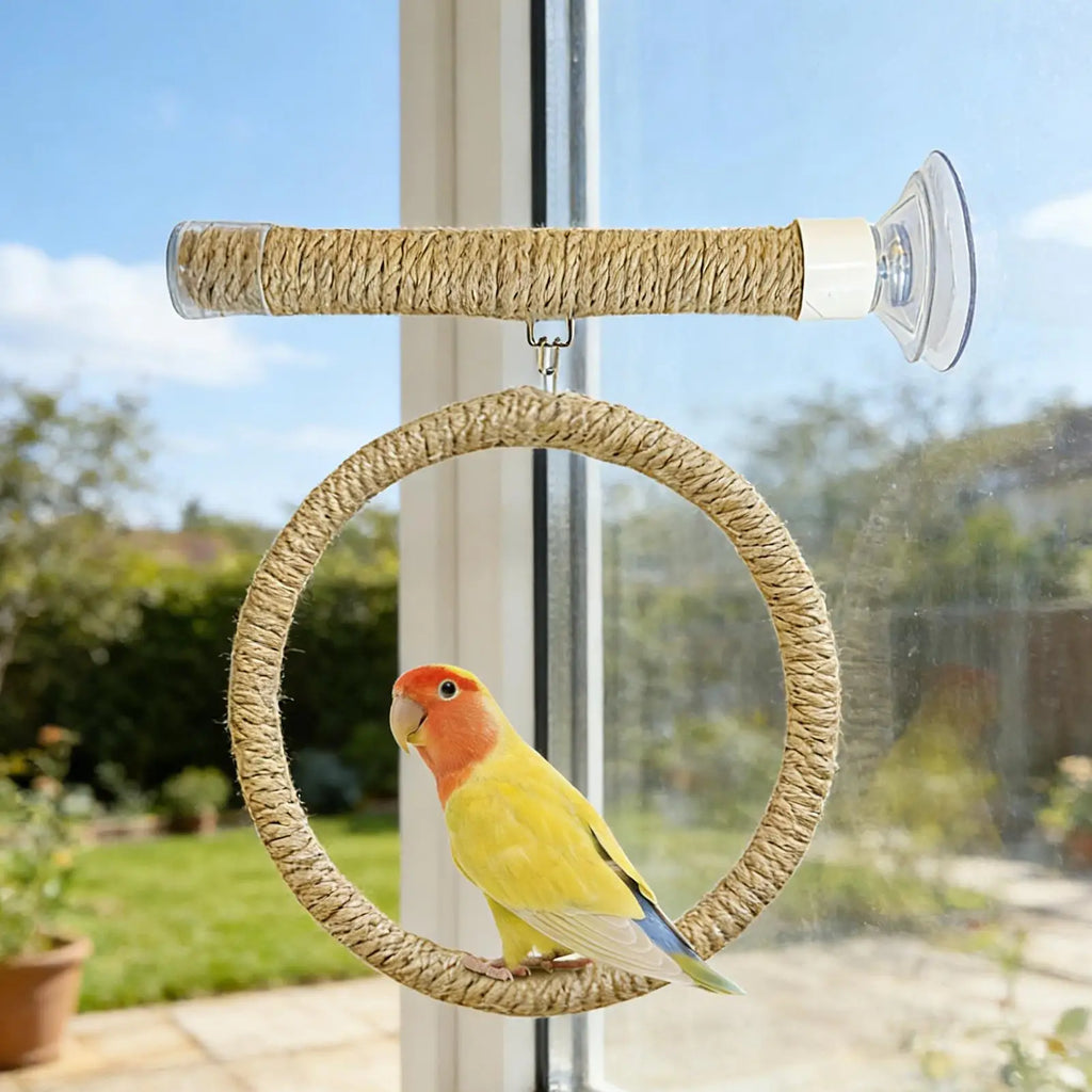 perchoir à oiseaux fixation ventouse