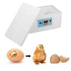 Incubateur 20 œufs de poules