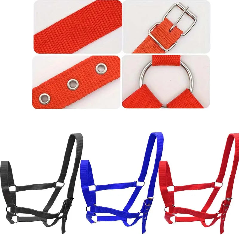 Licol réglable en nylon