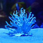 Faux corail en résine