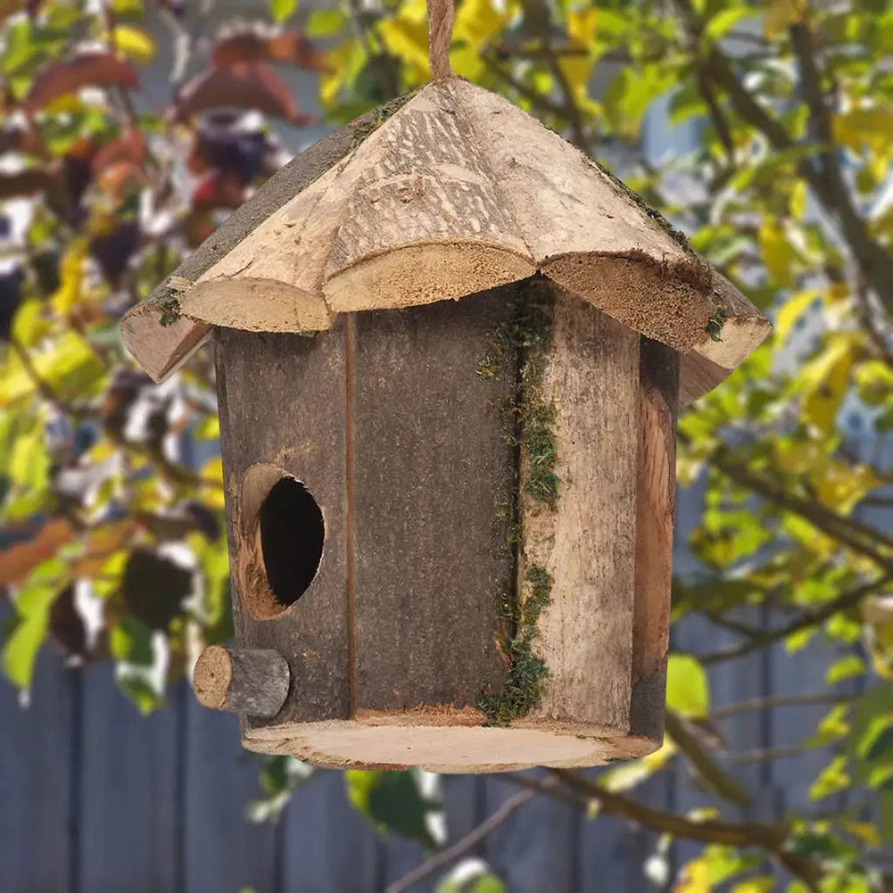 Niche extérieur petits oiseaux