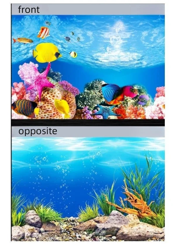 Poster de fond recto-verso