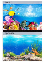 Poster de fond recto-verso