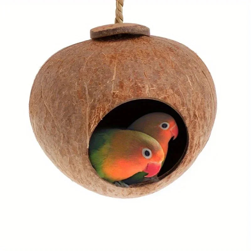 Nid d’oiseaux extérieur en coco