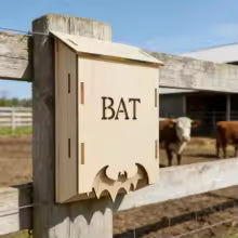 Cabane pour chauve-souris