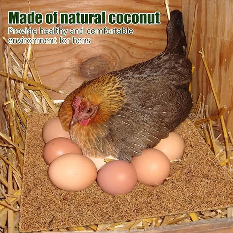 Coussin de couveuse fibre de coco
