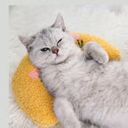 Oreiller pour chats