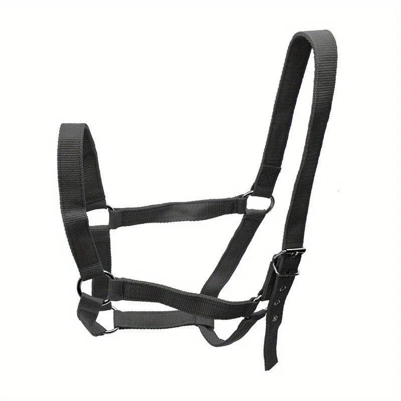 Licol réglable en nylon
