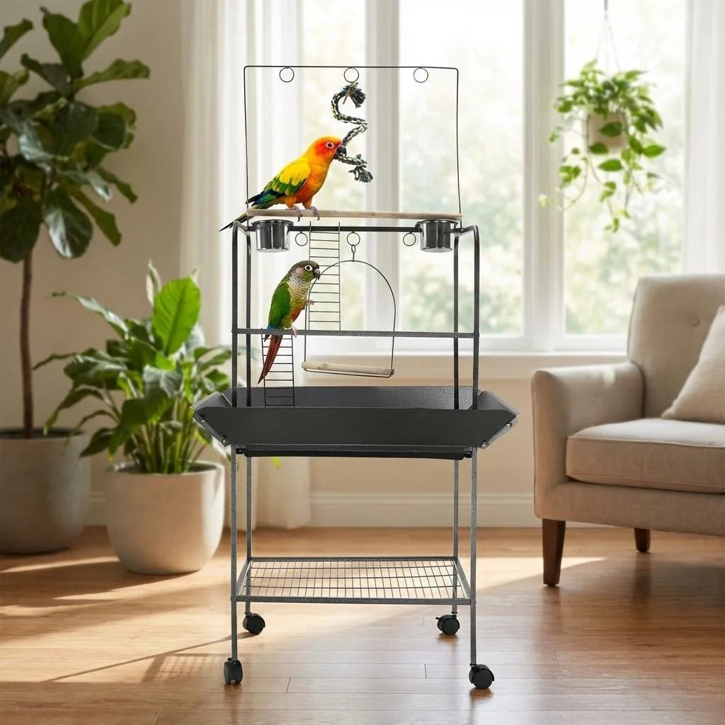 Support de jeu oiseaux, perchoir perroquet