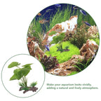 Plante en plastique Anubias