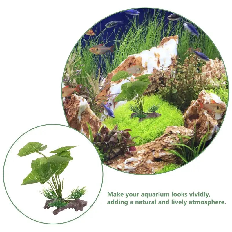 Plante en plastique Anubias