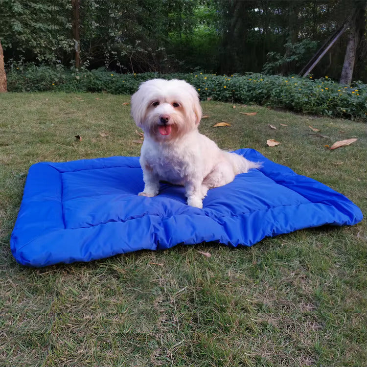 Tapis de transport pour chien