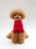 T-shirt en coton pour chien