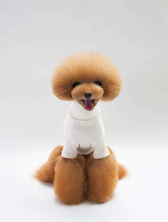 T-shirt en coton pour chien