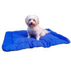 Tapis de transport pour chien