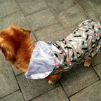 K-Way imperméable pour chien