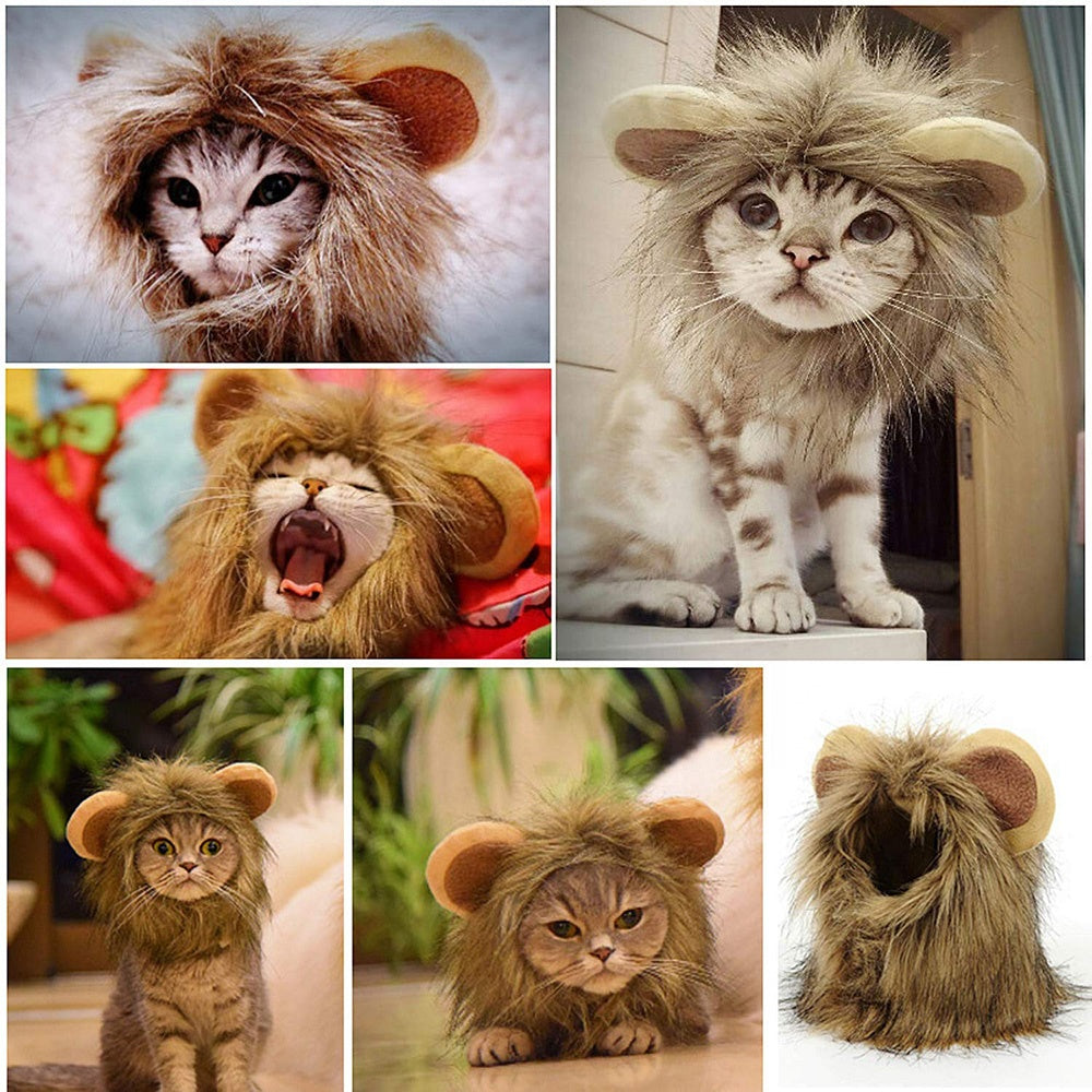 Perruque imitation crinière de lion