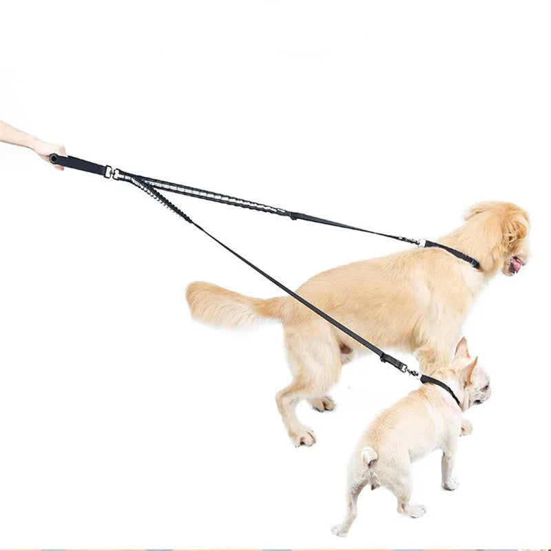 Laisse pour 2 chiens, nylon réfléchissant