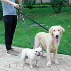 Laisse pour 2 chiens, nylon réfléchissant