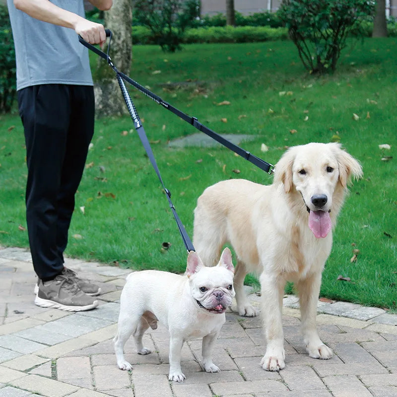 Laisse pour 2 chiens, nylon réfléchissant