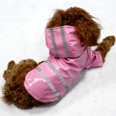 Manteau imperméable pour chien