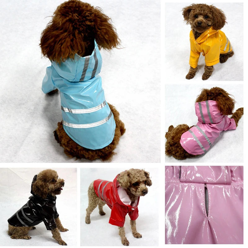 Manteau imperméable pour chien
