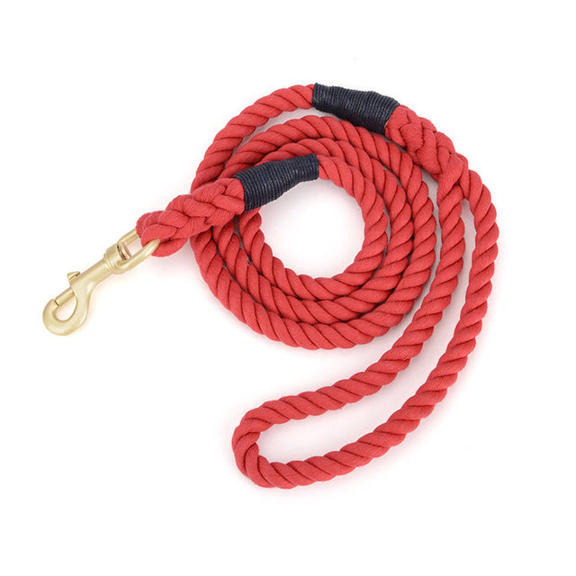 Laisse en corde tressé, pour chien