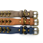 collier en cuir clouté pour chien