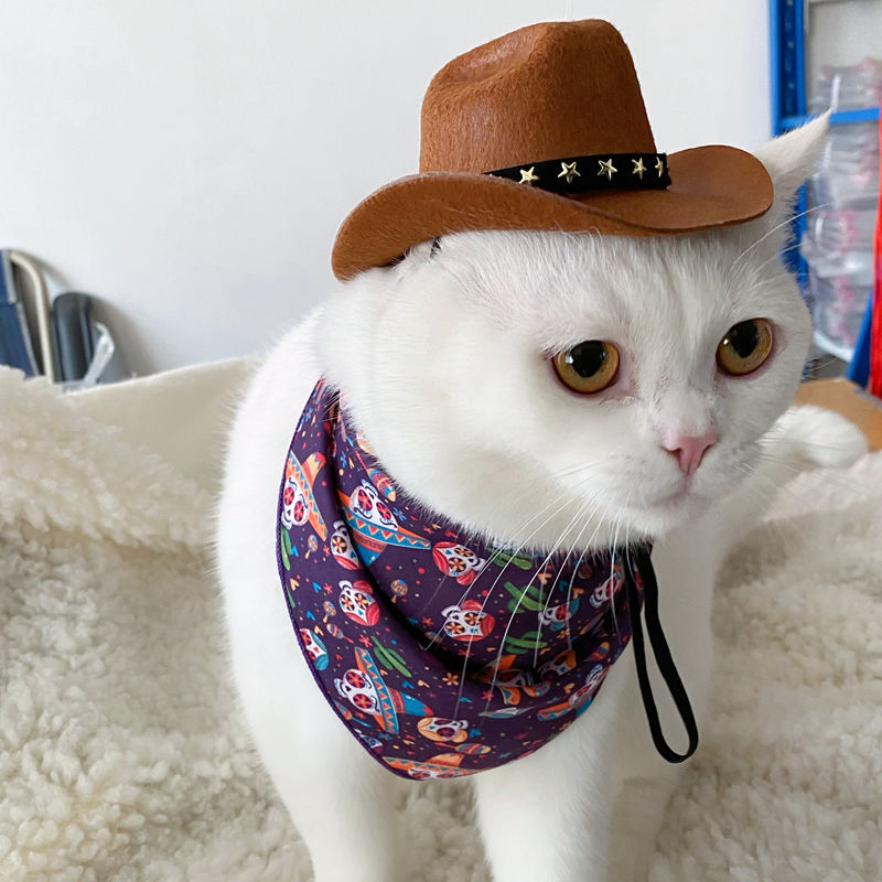 Chapeau de cowboy pour chat
