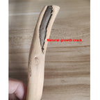 Perchoir pour perroquet