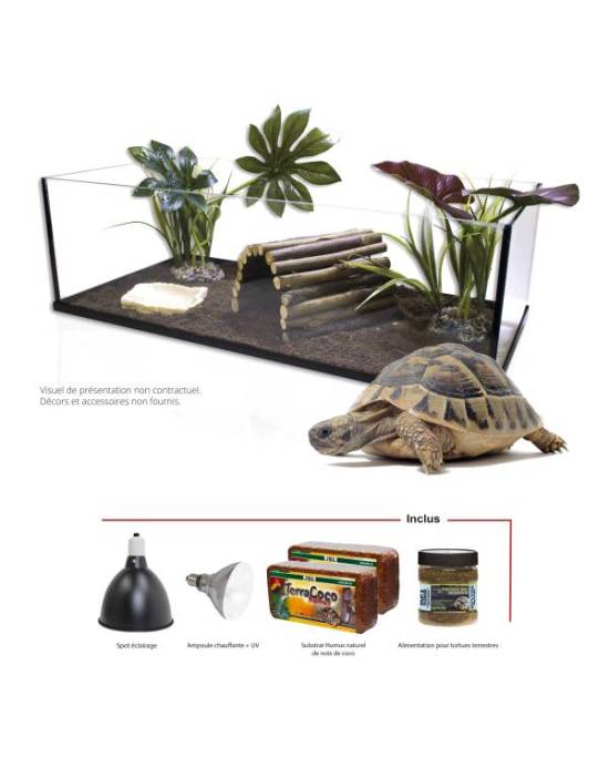Aquavie - Kit Tortue Terra 100 - 100x40x30 cm (ampoule RP)