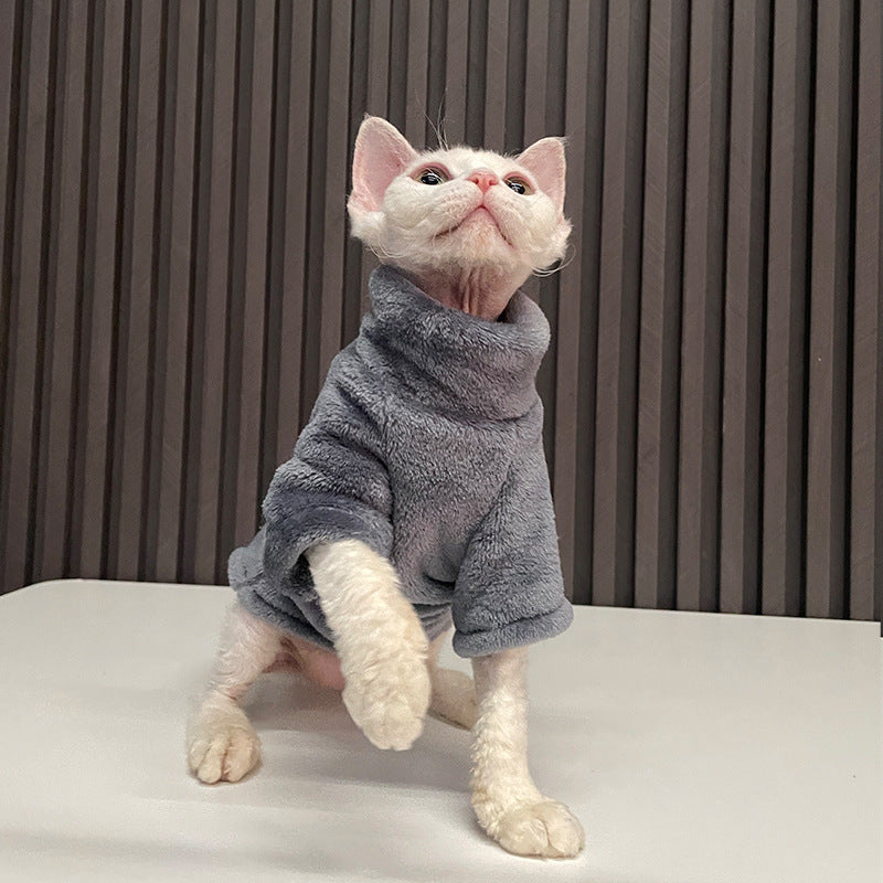 Pull chaud pour chats