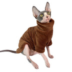 Pull chaud pour chats