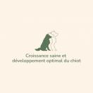 Puppy Mini Medium 2 ou 12 kg