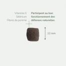 PureLife Mini Adulte 2 ou 8 kg