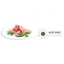 Select Kitten – Poulet & Riz 2 kg