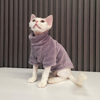 Pull chaud pour chats