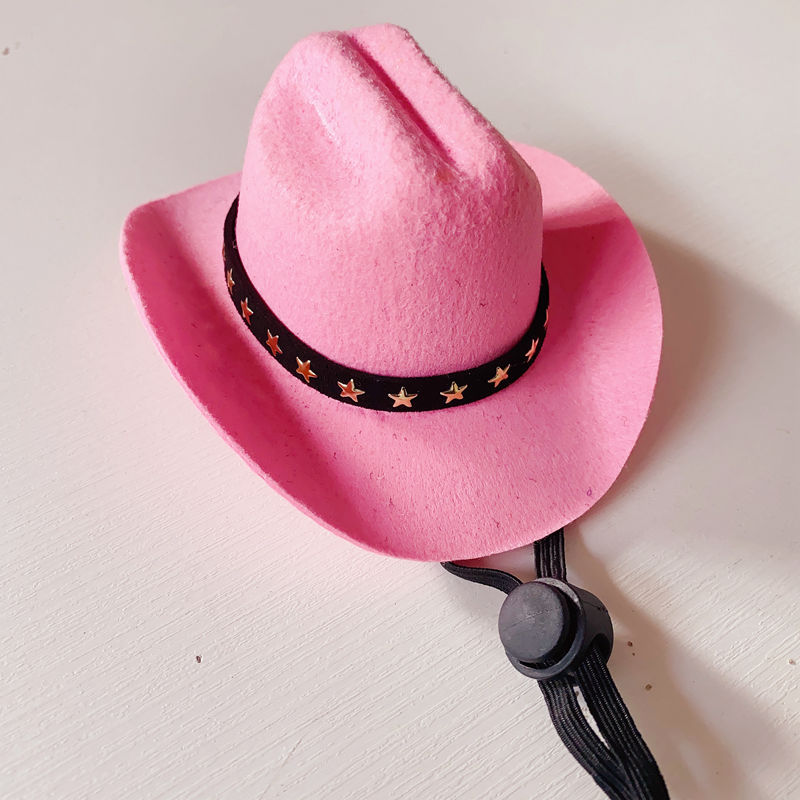 Chapeau de cowboy pour chat