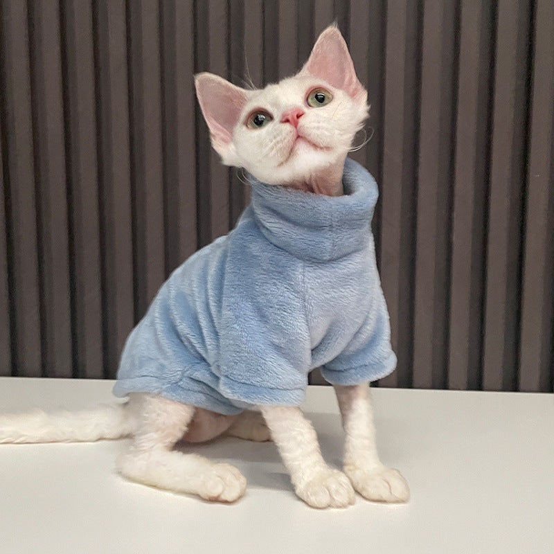 Pull chaud pour chats
