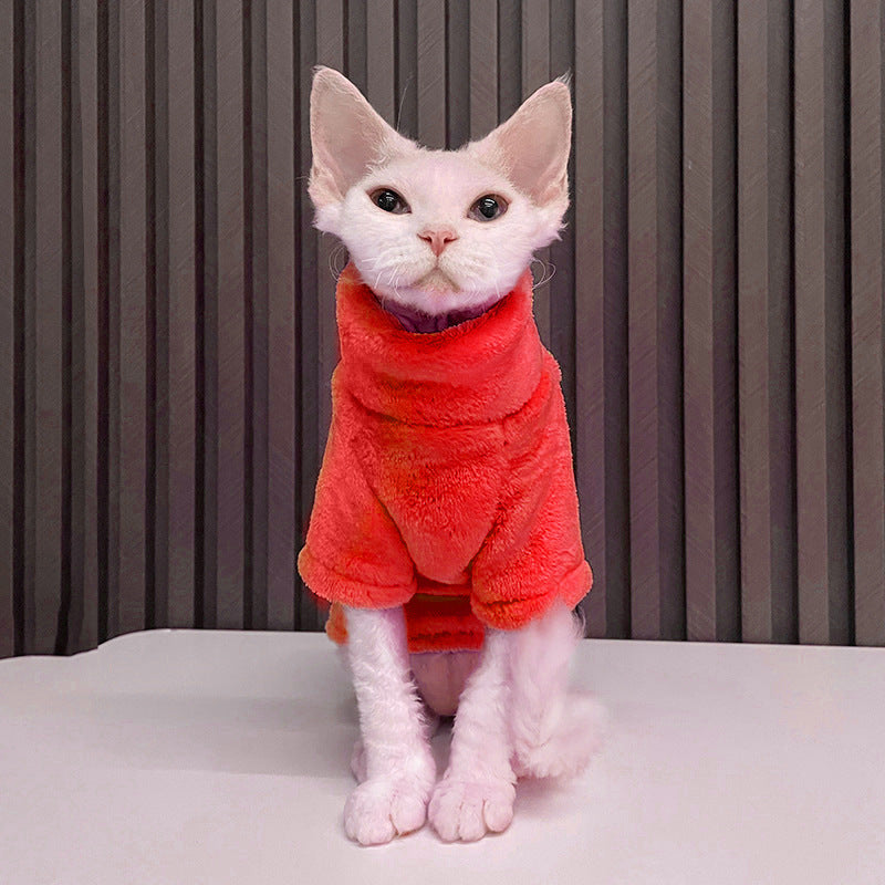 Pull chaud pour chats