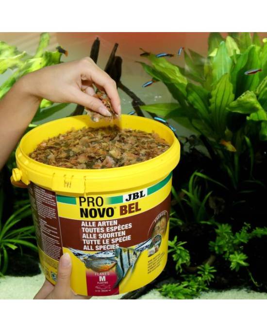 JBL - ProNovo Bel Flakes M - 5,5L