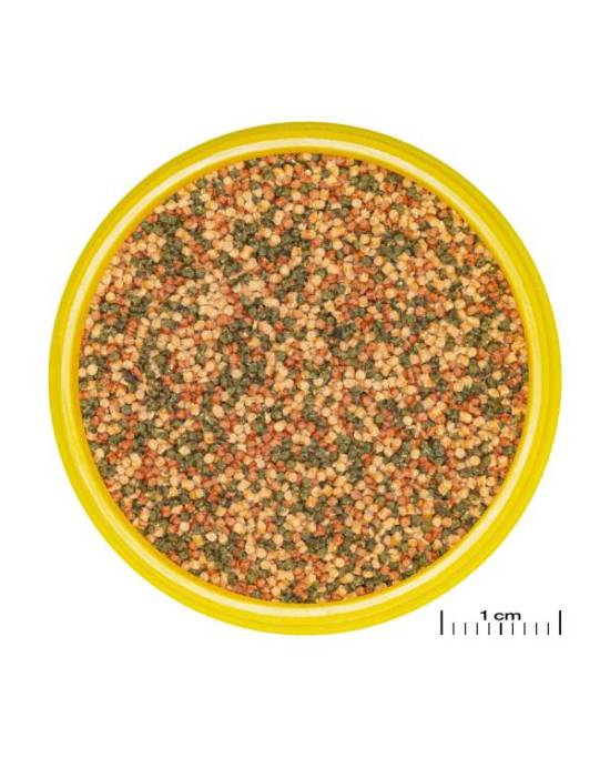 JBL - ProNovo Bel Grano S 1 L ou 250ml